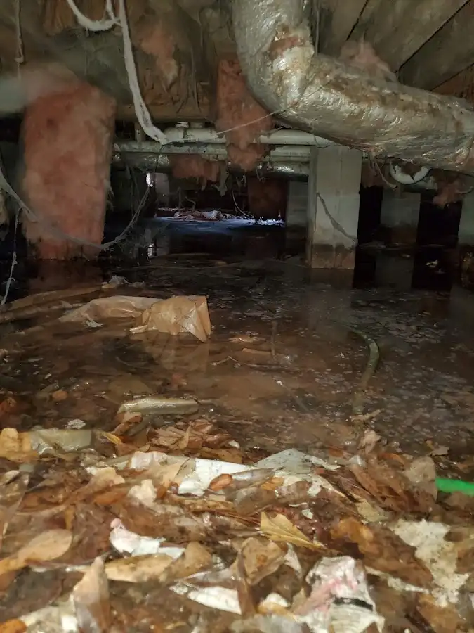 Crawl space flood assessment for Leak Detection & Repair in Falmouth